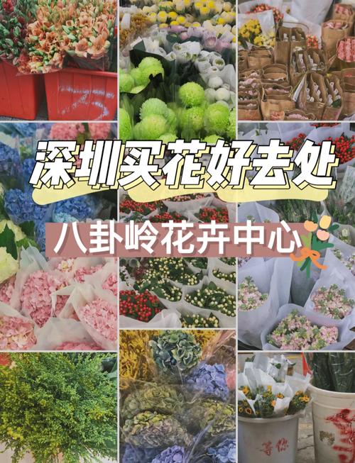 深圳買花攻略 從大型市場(chǎng)到社區(qū)花店，尋香覓色全指南