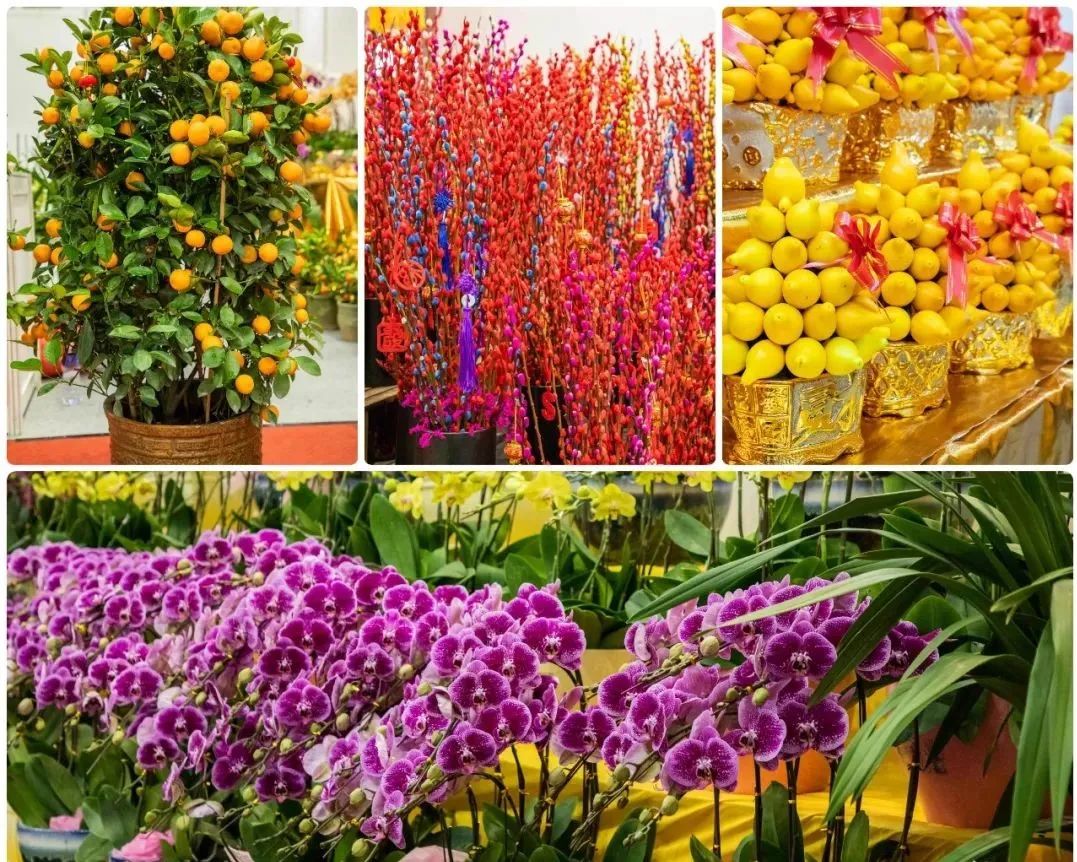 花漾鵬城，新春有約 3200個(gè)購(gòu)花檔鋪就深圳人年味歸途